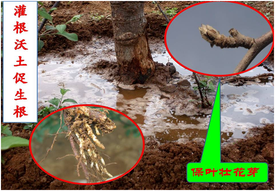 rrͨữôk@oһɷ